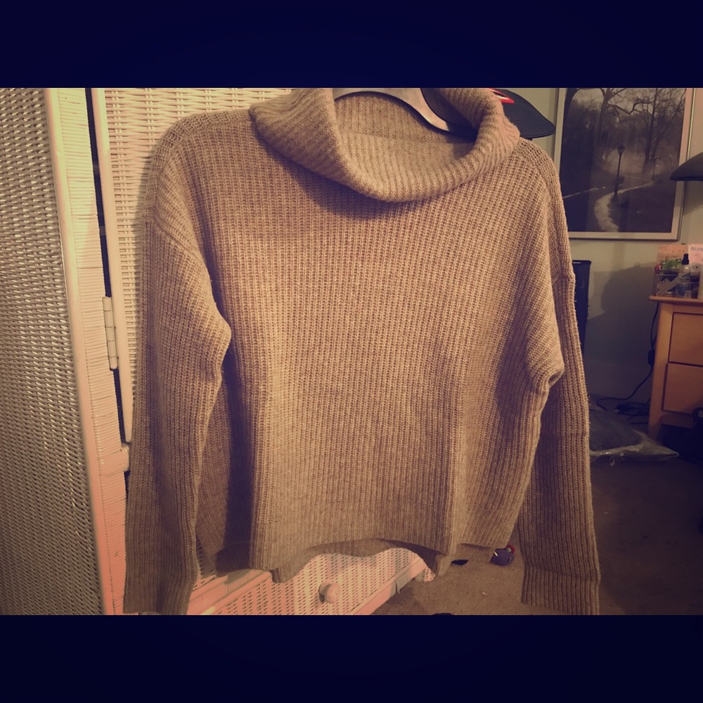 Eileen Fisher 100% Italian yarn Sweater